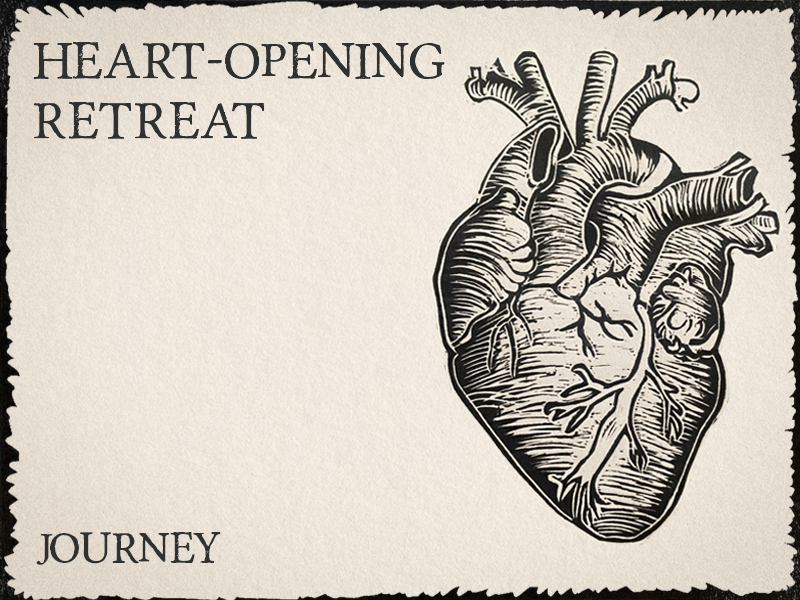 Trust, Surrender, Receive - Journey